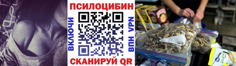 купить закладку Обоянь Псилоцибиновые грибы прущие грибы